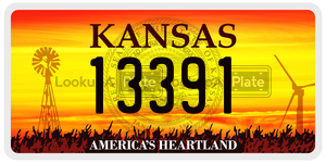 13391  license plate in KS
