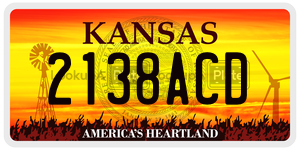 2138ACD  license plate in KS