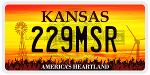 229MSR  license plate in KS
