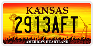 2913AFT  license plate in KS