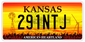 291NTJ  license plate in KS