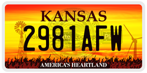 2981AFW  license plate in KS