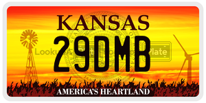 29DMB  license plate in KS