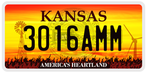 3016AMM  license plate in KS