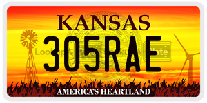 305RAE  license plate in KS