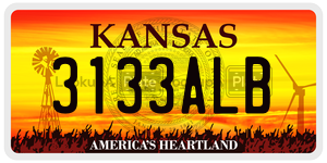 3133ALB  license plate in KS