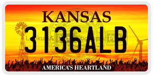 3136ALB  license plate in KS
