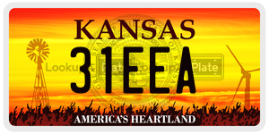 31EEA  license plate in KS