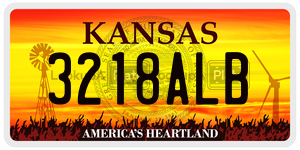 3218ALB  license plate in KS