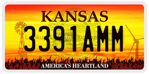 3391AMM  license plate in KS