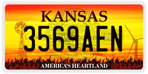 3569AEN  license plate in KS