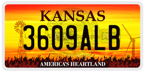 3609ALB  license plate in KS