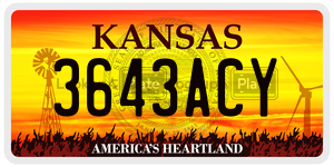 3643ACY  license plate in KS