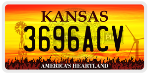 3696ACV  license plate in KS