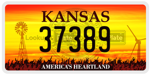 37389  license plate in KS