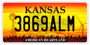 3869ALM  license plate in KS