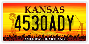 4530ADY  license plate in KS
