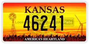 46241  license plate in KS