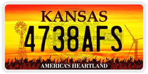 4738AFS  license plate in KS