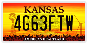 4G63FTW  license plate in KS
