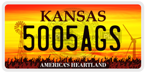 5005AGS  license plate in KS
