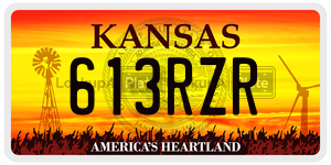 613RZR  license plate in KS