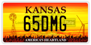 65DMG  license plate in KS