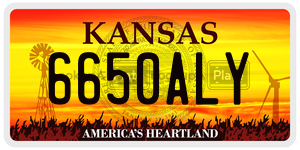 6650ALY  license plate in KS