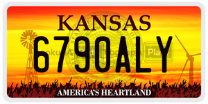 6790ALY  license plate in KS