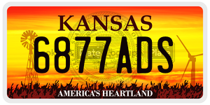 6877ADS  license plate in KS