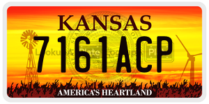 7161ACP  license plate in KS