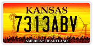 7313ABV  license plate in KS