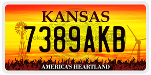 7389AKB  license plate in KS