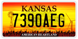 7390AEG  license plate in KS