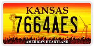 7664AES  license plate in KS