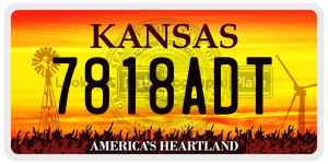 7818ADT  license plate in KS