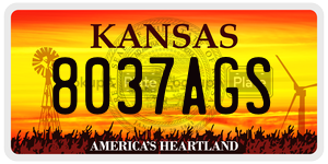 8037AGS  license plate in KS