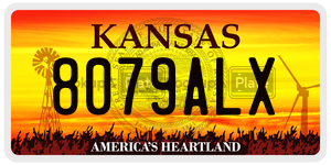 8079ALX  license plate in KS