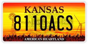 8110ACS  license plate in KS