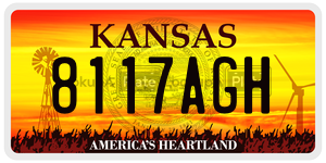 8117AGH license plate in Kansas
