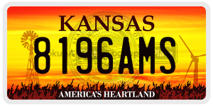 8196AMS  license plate in KS