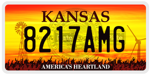 8217AMG  license plate in KS
