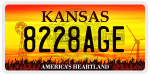 8228AGE license plate in Kansas