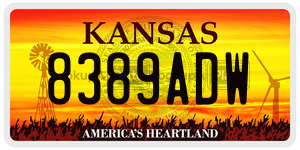 8389ADW  license plate in KS