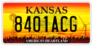 8401ACG  license plate in KS
