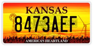 8473AEF  license plate in KS