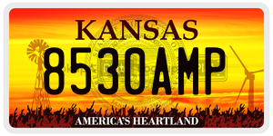 8530AMP  license plate in KS