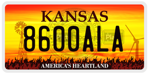 8600ALA  license plate in KS