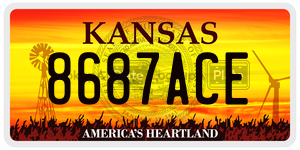 8687ACE  license plate in KS