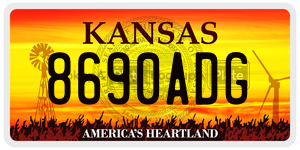 8690ADG  license plate in KS